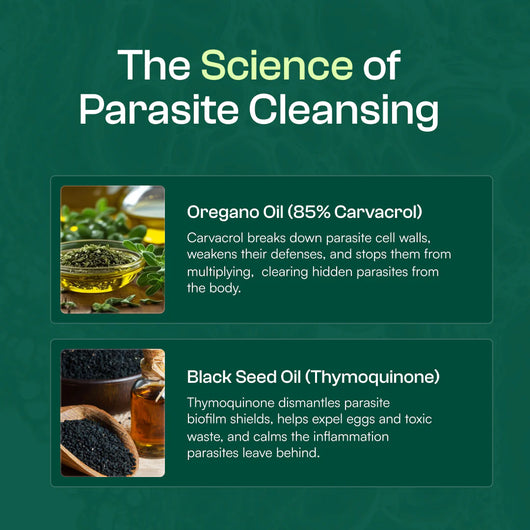 Vidas™ Oil Of Oregano Softgels