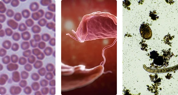 Feature product image